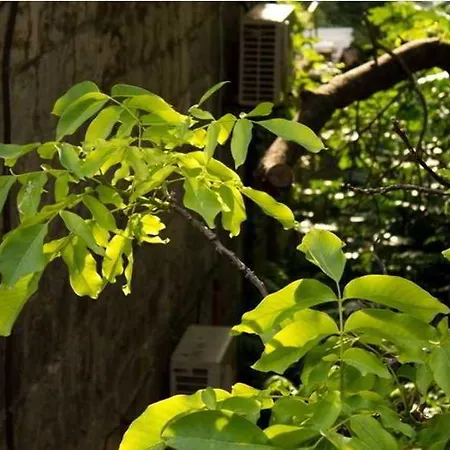 Sunny Διαμέρισμα *